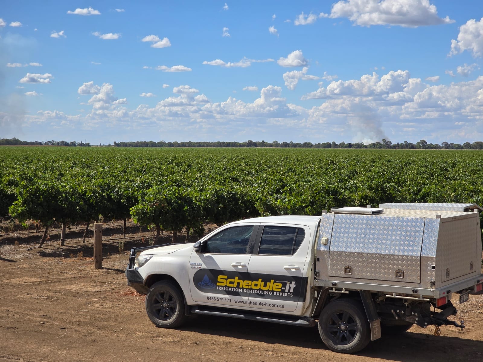 Soil pit assessment, Finley NSW