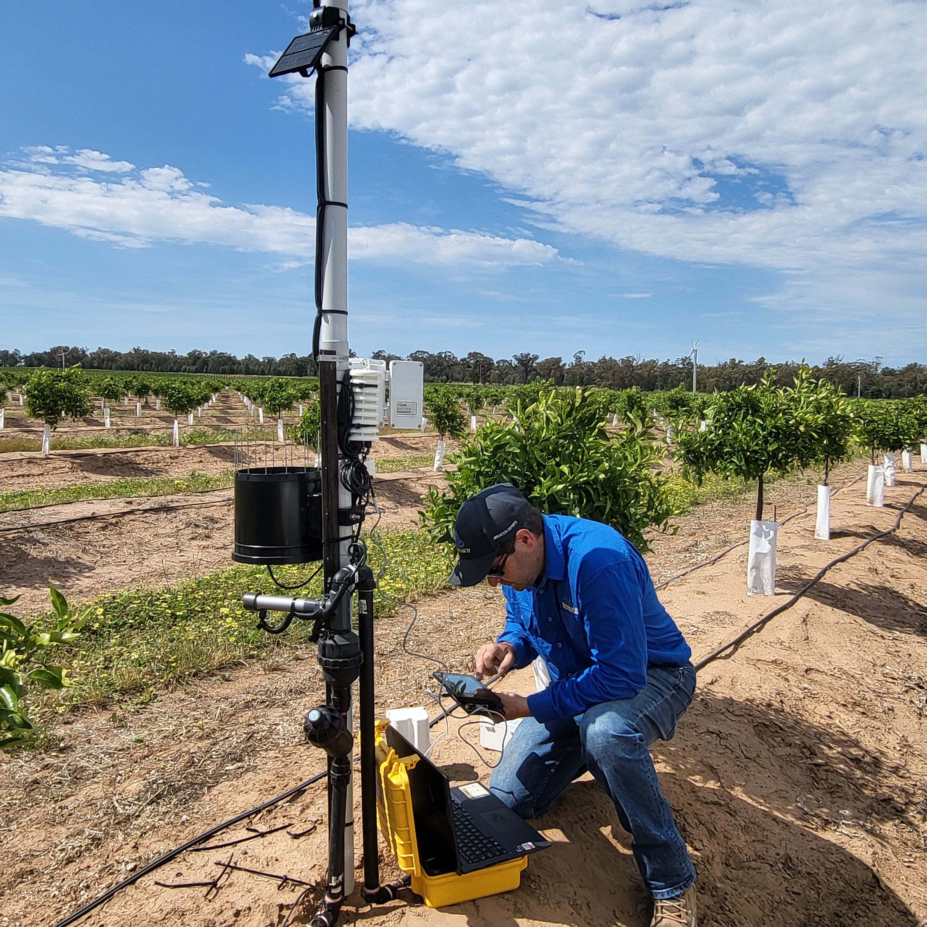 Telemetry hub installed in a pistachio block