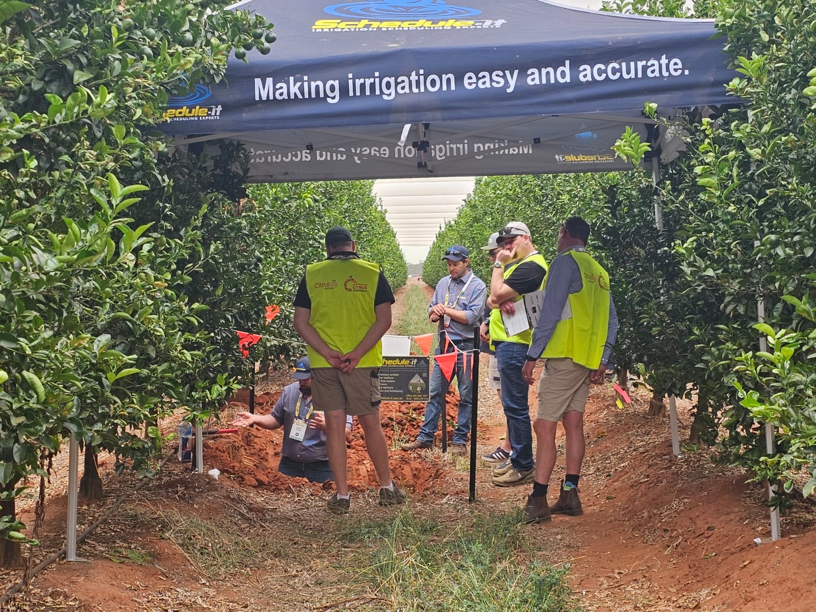 Soil moisture probe installed in a citrus orchard