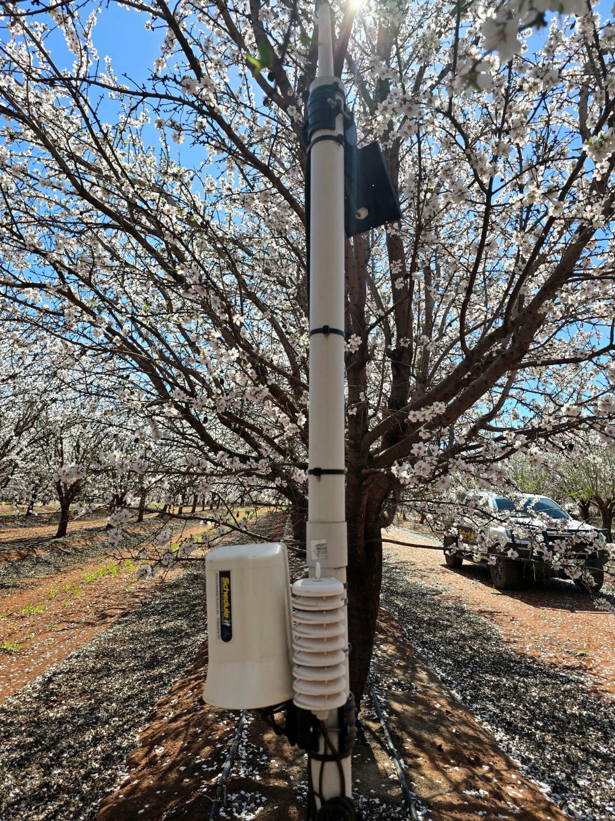 Schedule-it hardware installed in an almond block