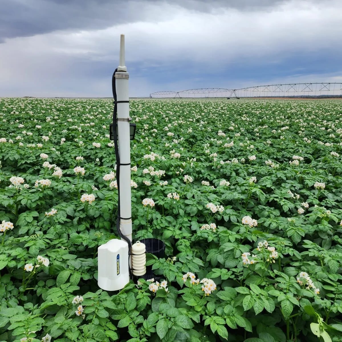 Schedule-it sensor installation on farm