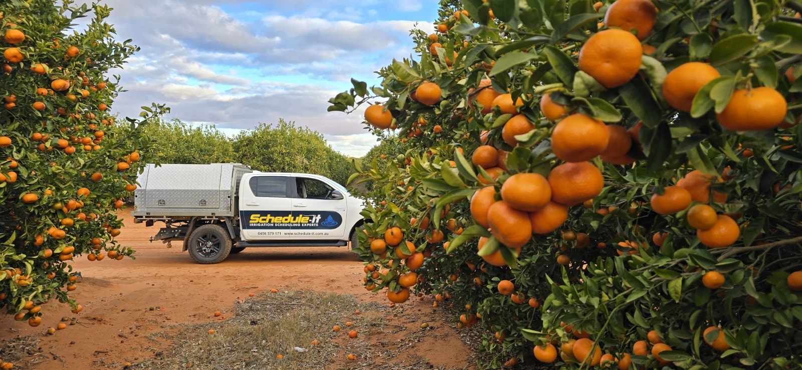 Irrigation monitoring equipment in orchard