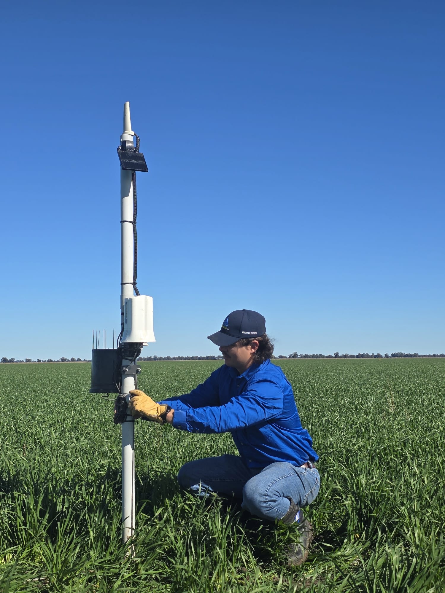 Soil moisture monitoring in broadacre crop
