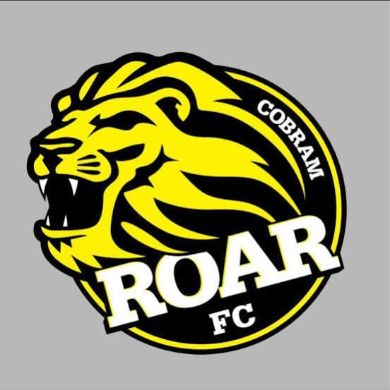 Cobram Roar FC logo