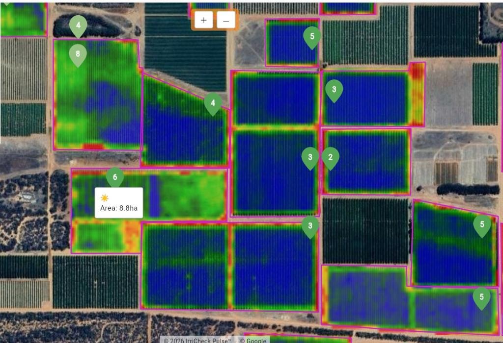 Schedule-it custom high-contrast NDVI view of horticulture orchard blocks